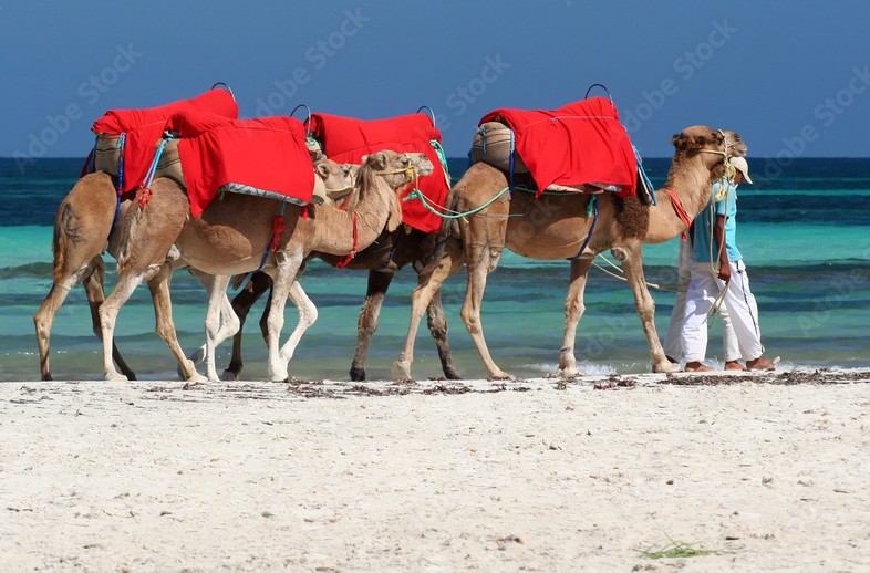 Djerba : L'Île aux Mille Visages