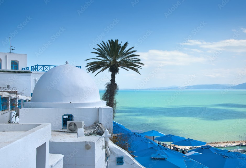 Carthage : L'Empire Punique au Bord de la Méditerranée